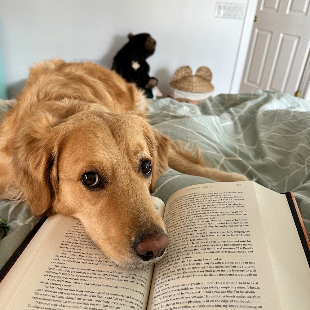 Meet your Posher, Joy